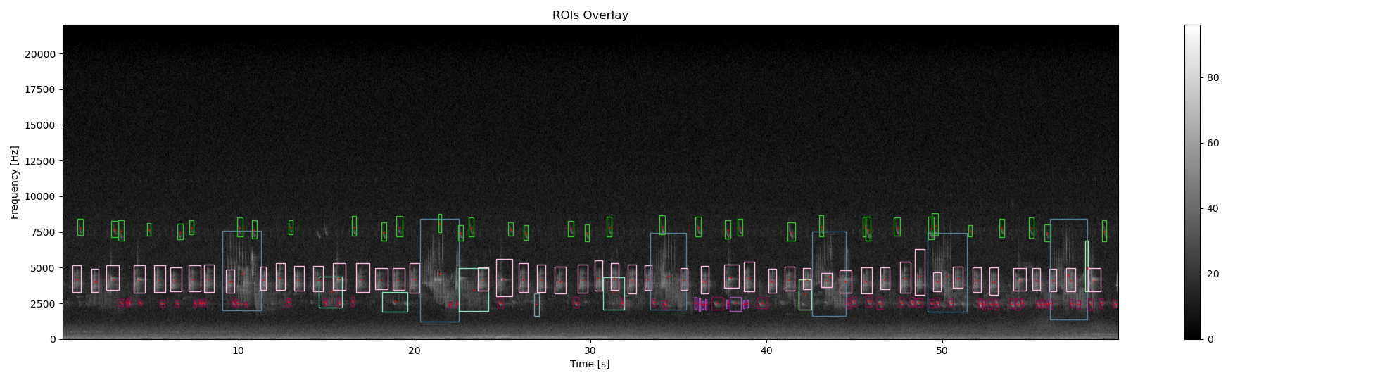 ROIs Overlay