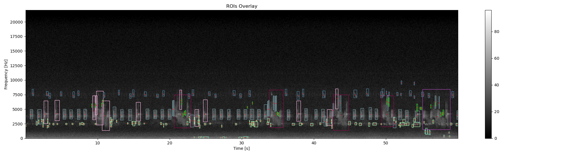 ROIs Overlay