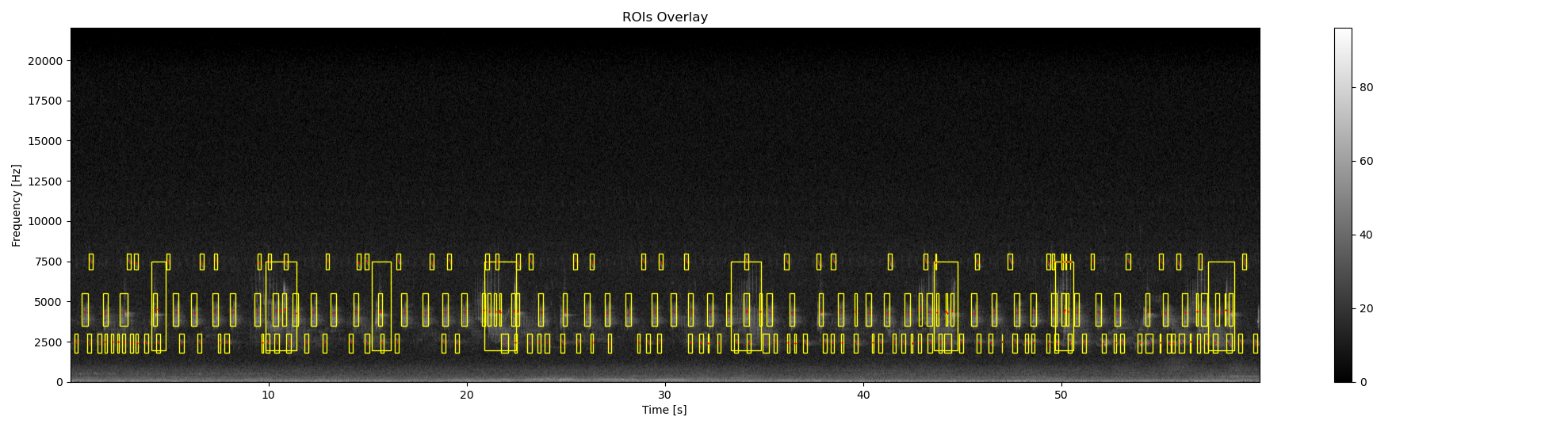 ROIs Overlay