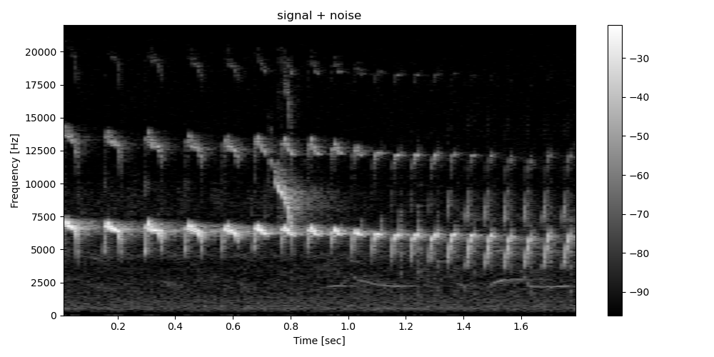 signal + noise